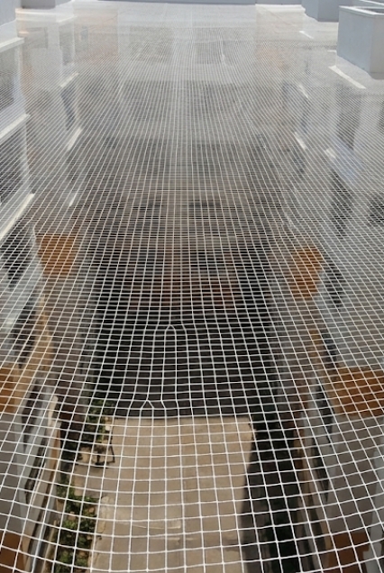 Warangal Safety Nets